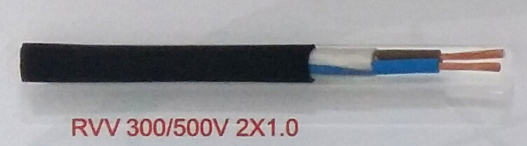 1-1F92Q01450441.jpg