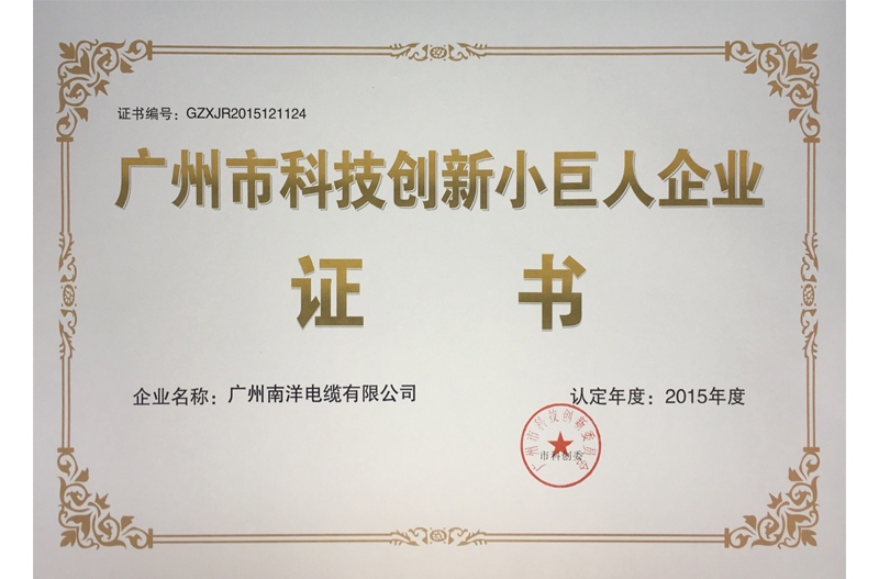 02科技创新小巨人企业证书.jpg